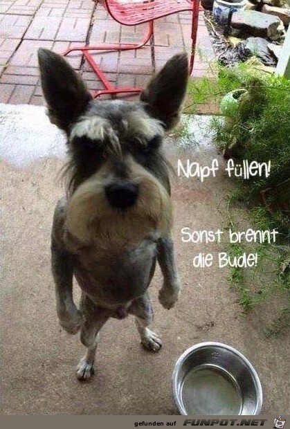 Aber zackig Aber zackig
