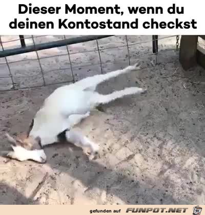Das trifft einen hart Das trifft einen hart