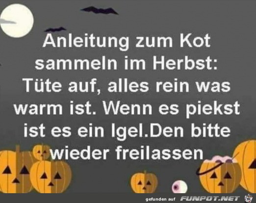 Im Herbst