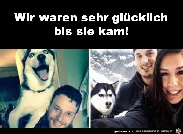 Dieser Blick Dieser Blick