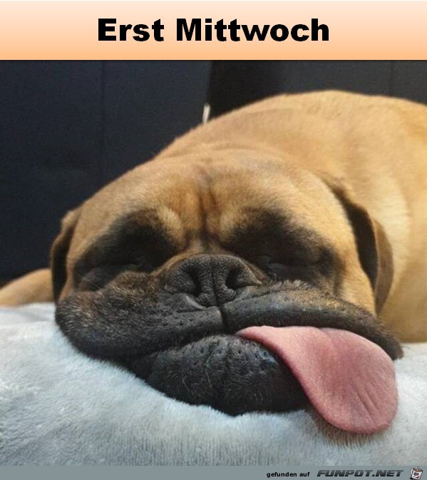 Puh erst Mittwoch