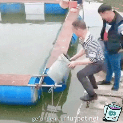 Blöd gelaufen Blöd gelaufen
