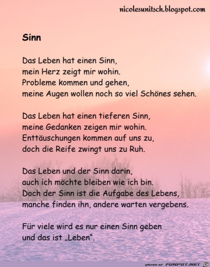 Sinn Sinn