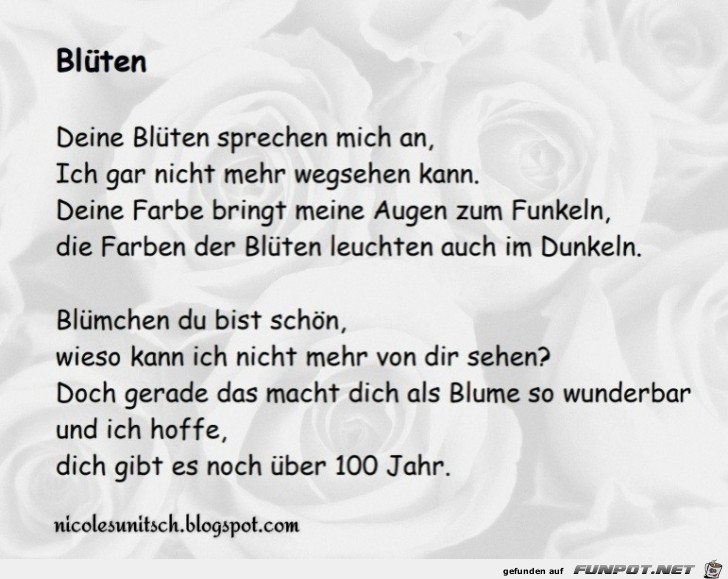 Blüten Blüten