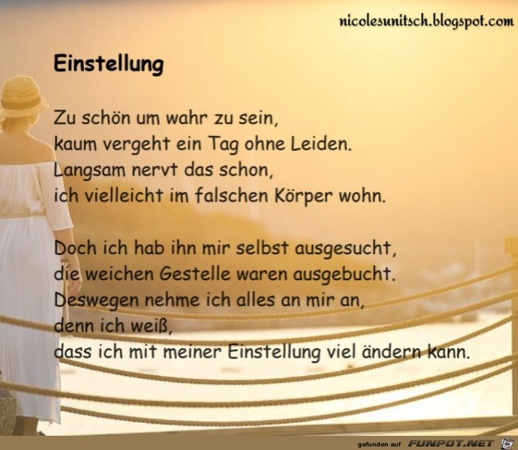 Einstellung Einstellung