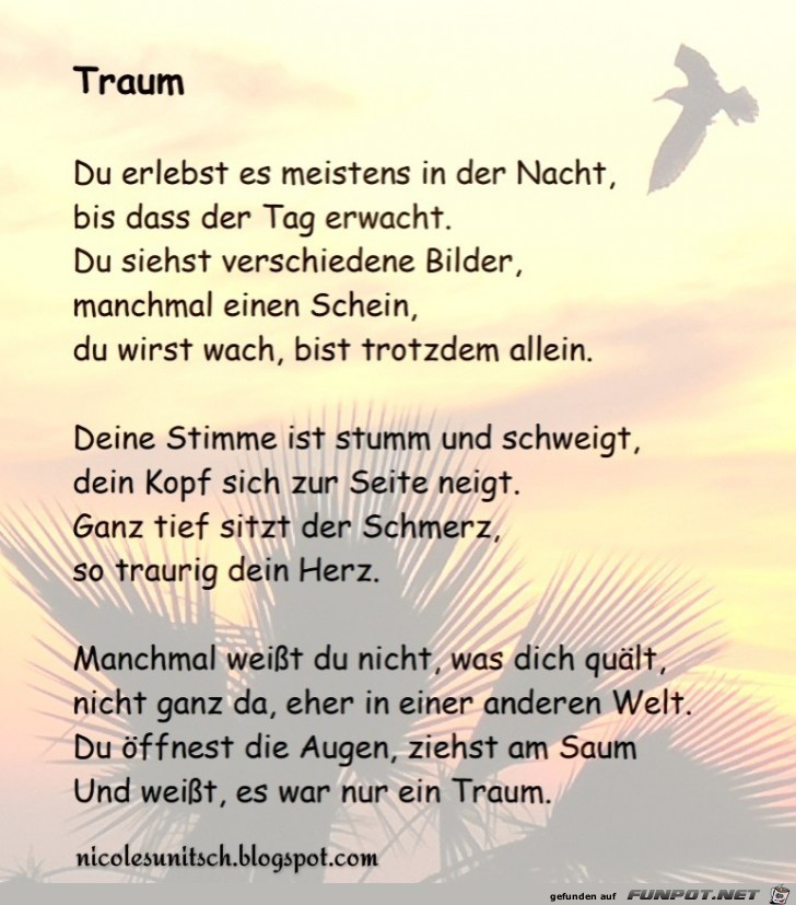 Traum Traum