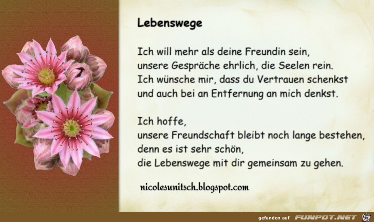 Lebenswege Lebenswege