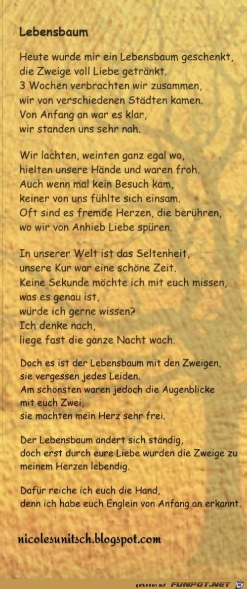 Lebensbaum