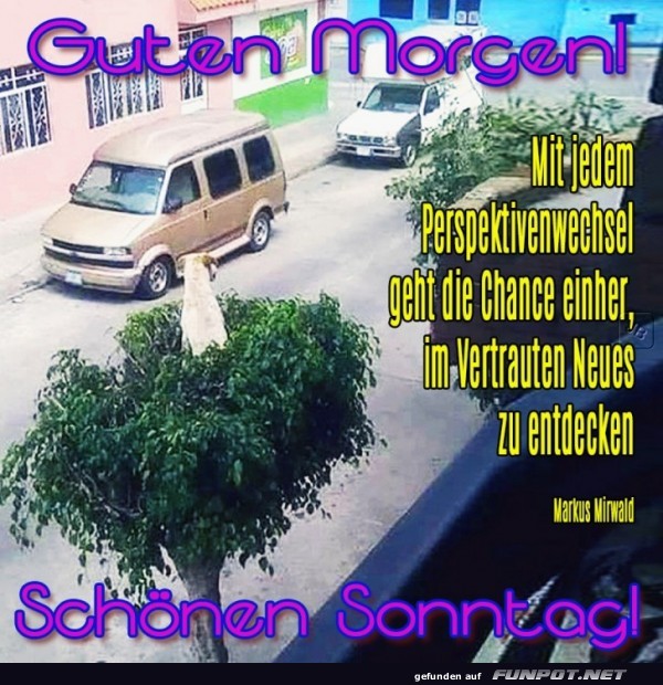 Sonntag Sonntag