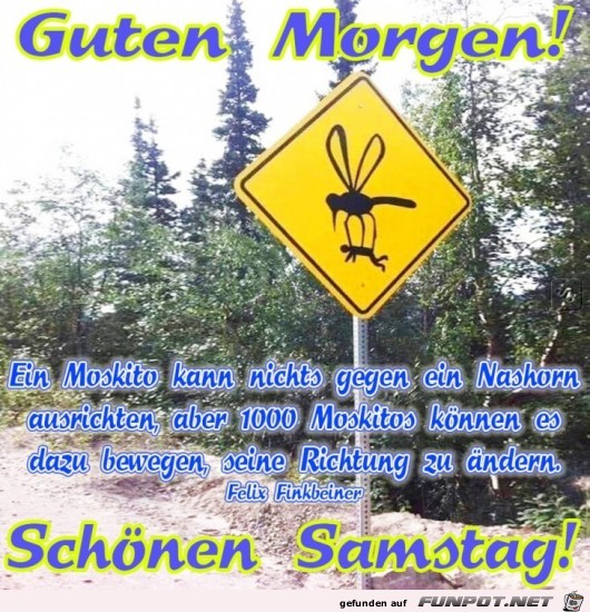 Samstag Samstag