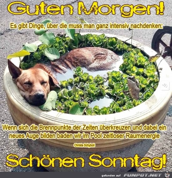 Sonntag Sonntag