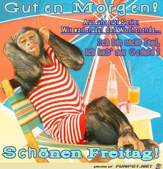 Freitag Freitag