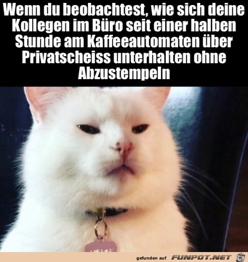 Ich sehe euch Ich sehe euch