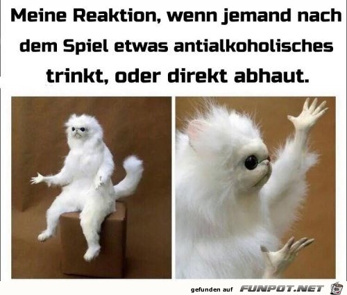 Meine Reaktion