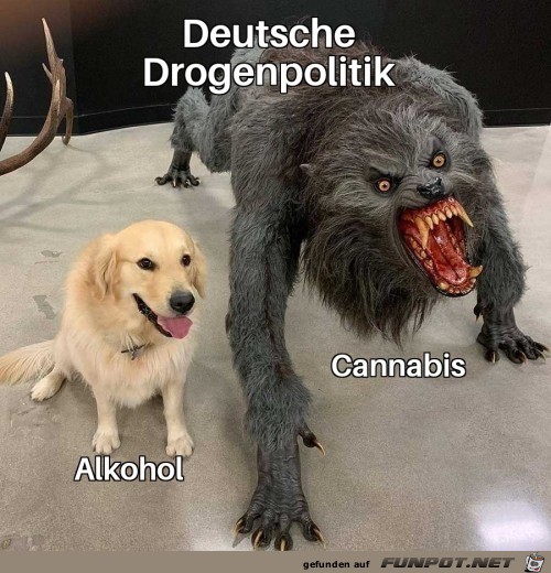 Nicht ganz nachvollziehbar Nicht ganz nachvollziehbar