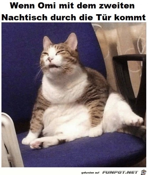 Ich kann nicht mehr