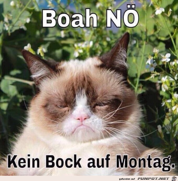Montag Montag
