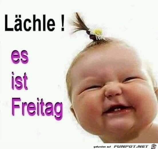 Freitag Freitag