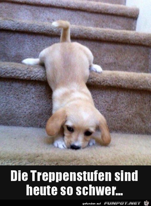 Heute ist es anstrengend