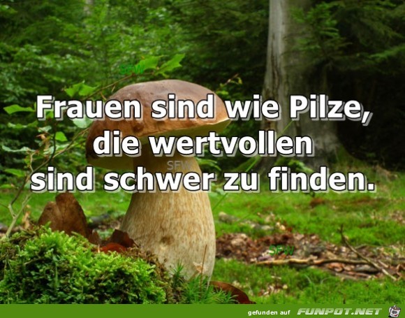 Frauen sind wie Frauen sind wie