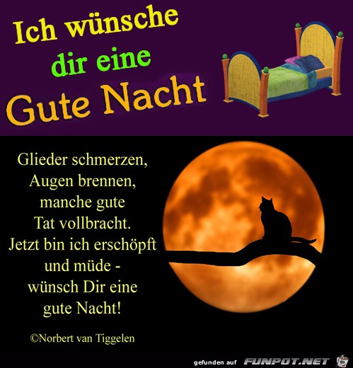 Nachtgruß 2019 Nachtgruß 2019