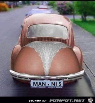 Manni Manni