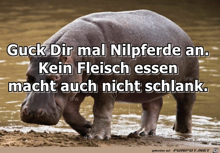 Guck dir mal Guck dir mal