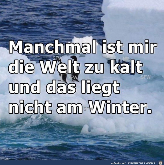 die Welt zu kalt die Welt zu kalt