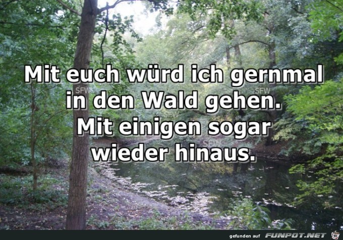 in den Wald gehen