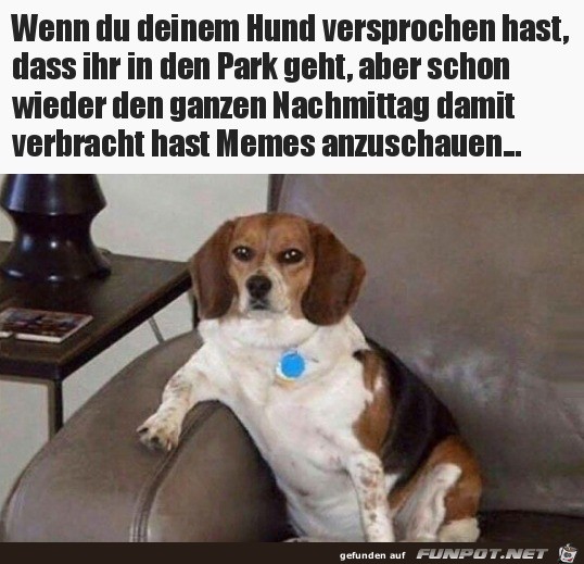 Das geht ja auch nicht Das geht ja auch nicht