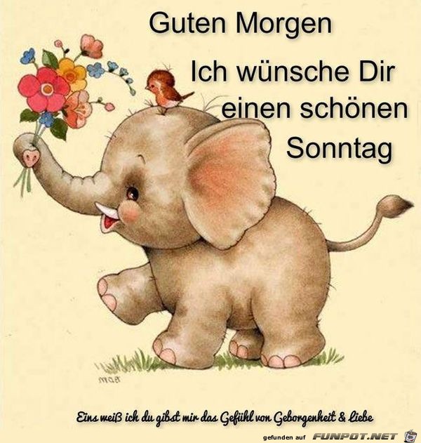 Sonntag Sonntag