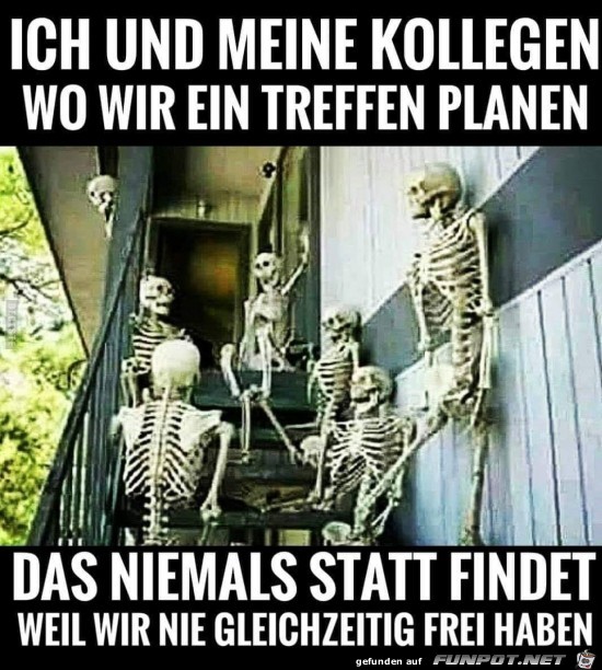 Das wird nie was Das wird nie was