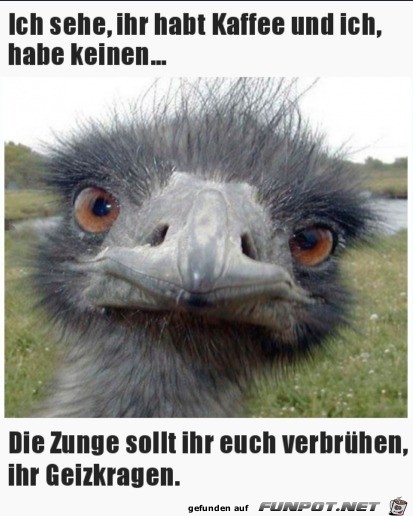 Geizkragen Geizkragen