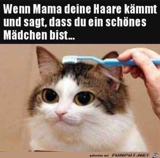 Schne Haare