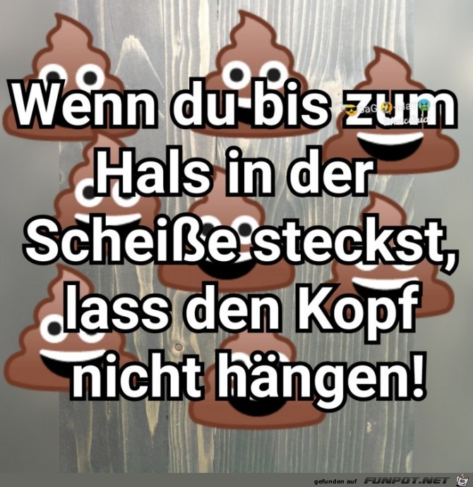 Echt scheisse Echt scheisse