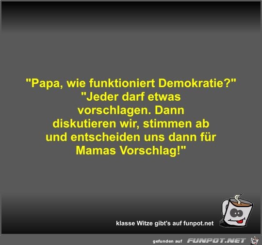 Papa, wie funktioniert Demokratie?