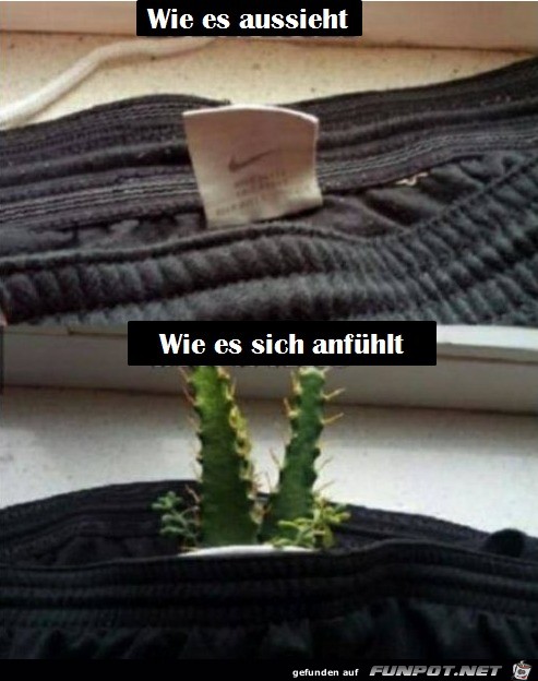 Kratzt wie Hölle Kratzt wie Hölle