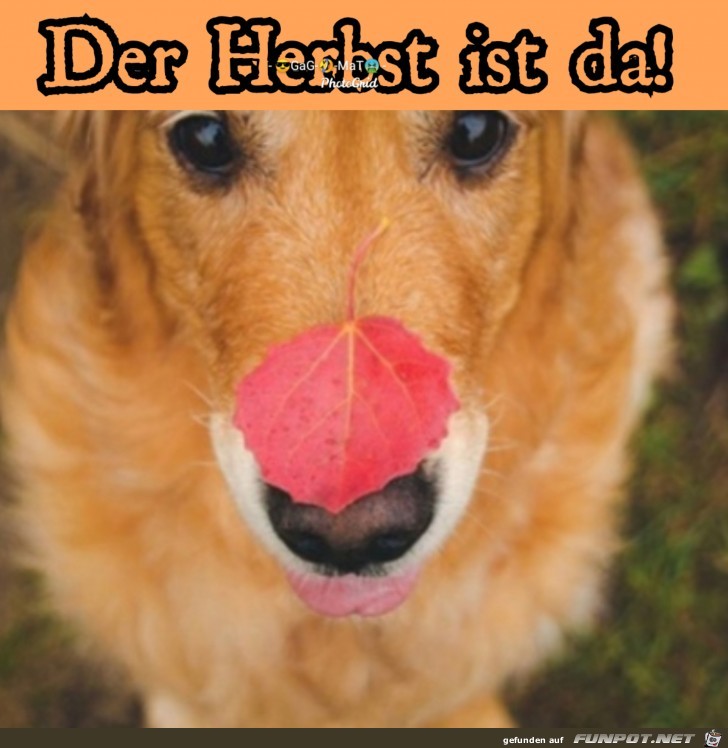 Der Herbst ist da!