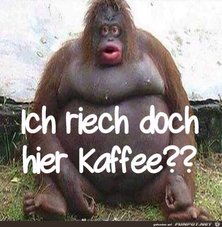 Kaffee Kaffee