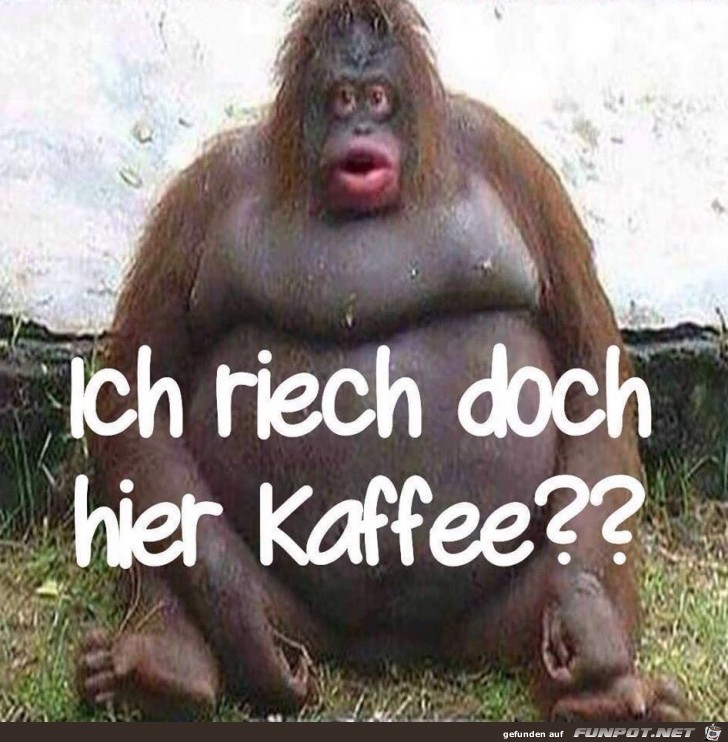 Kaffee