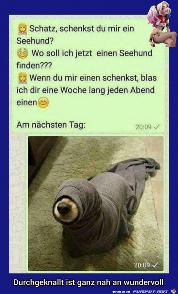 Seehund