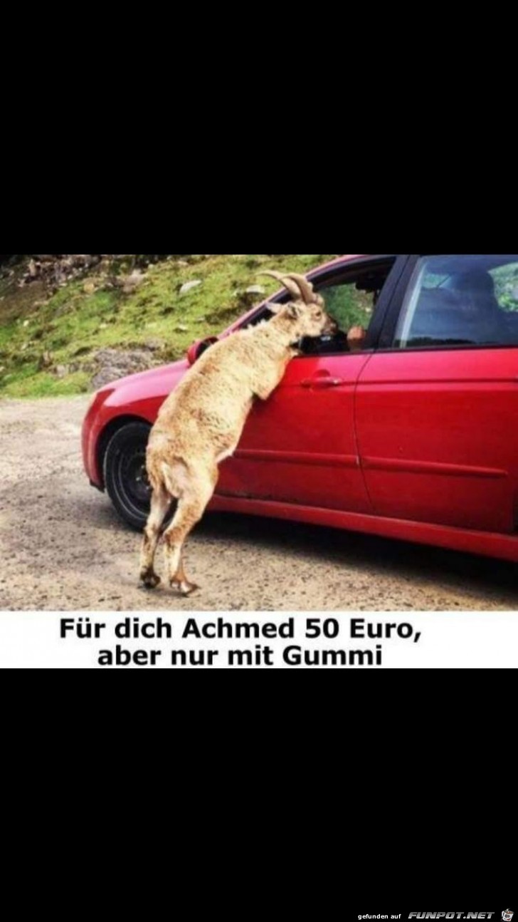 Achmed