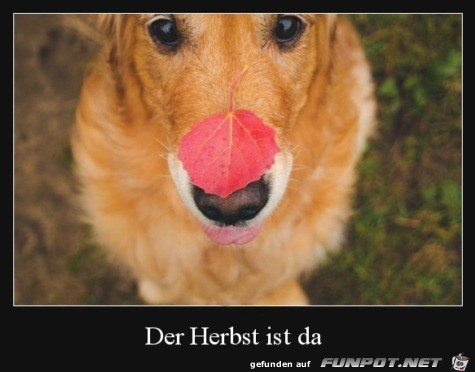Herbst Herbst