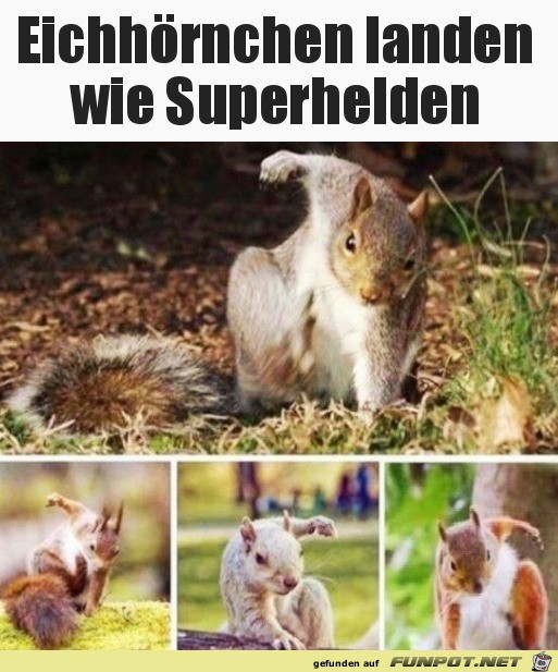 Sieht cool aus Sieht cool aus