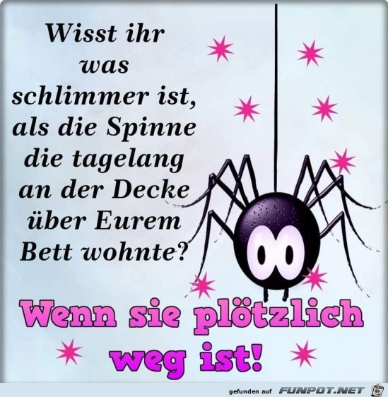 Die Spinne