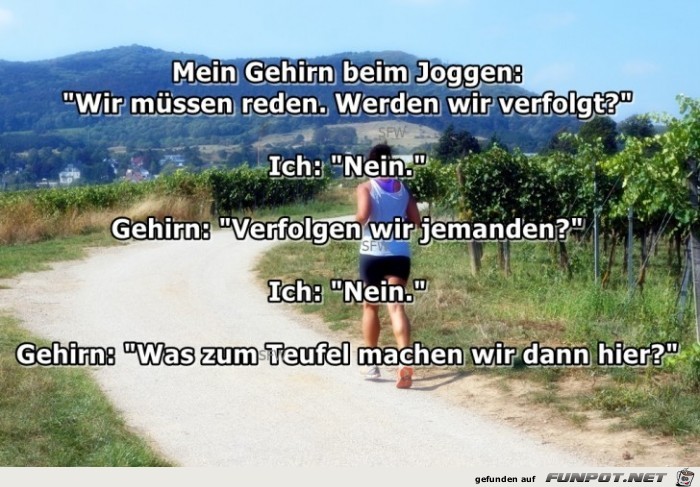 Gehirn beim Joggen Gehirn beim Joggen