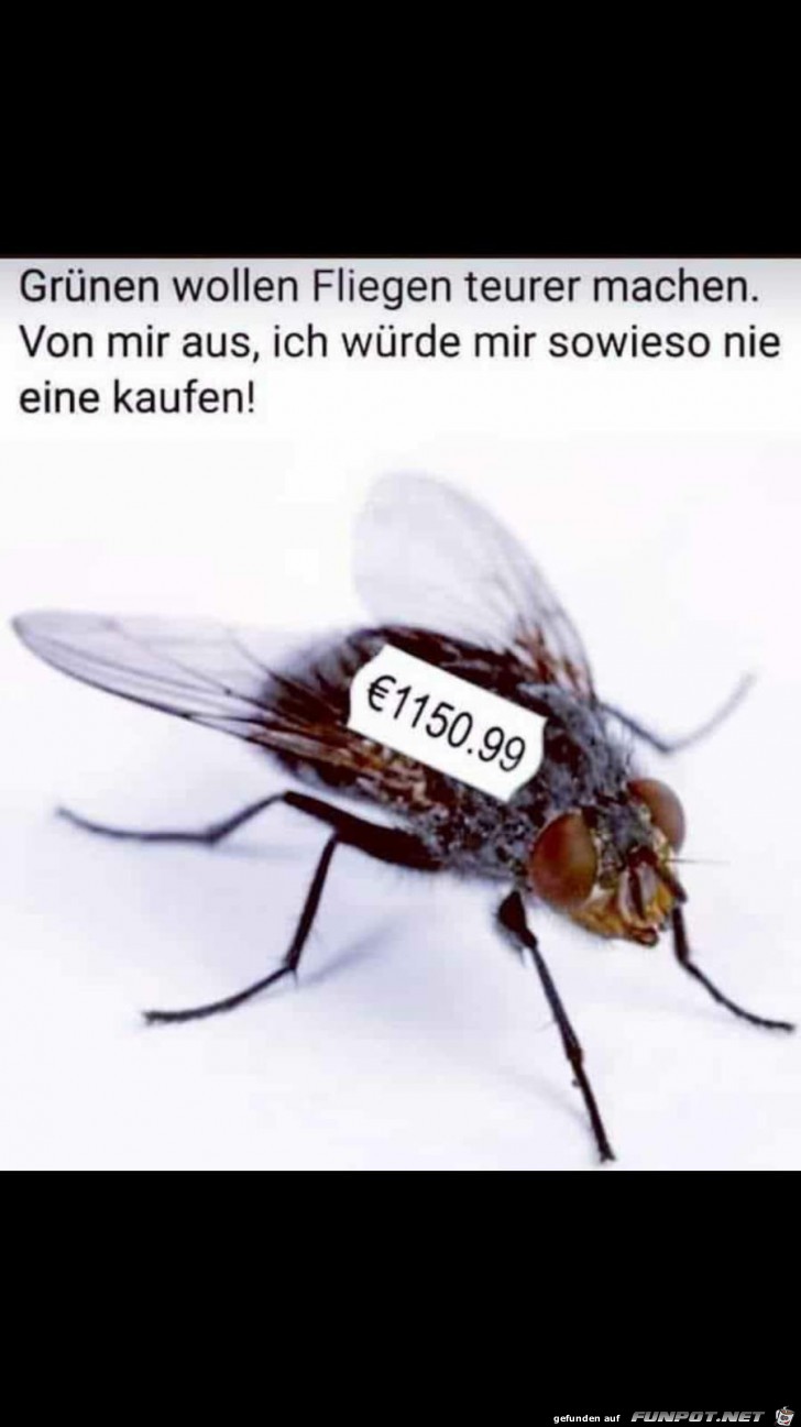 Fliegen teurer machen