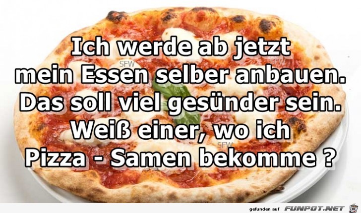 Pizza-samen