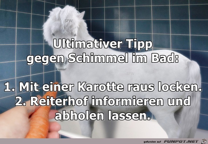 Schimmel im Bad Schimmel im Bad