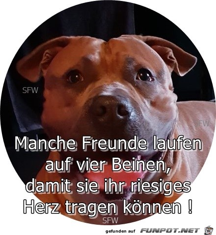 Herz tragen Herz tragen